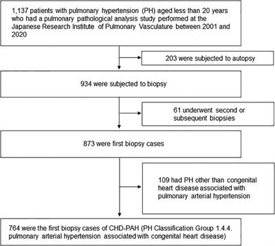 Use of the index of pulmonary vascular disease for predicting long-term outcome of pulmonary arterial hypertension associated with congenital heart disease